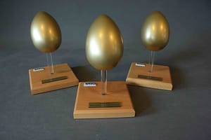award gouden ei
