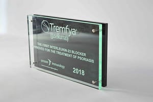 perspex award met gravure