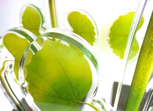 kleuren print op glas (perspex) award