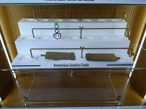 seeds winkel display